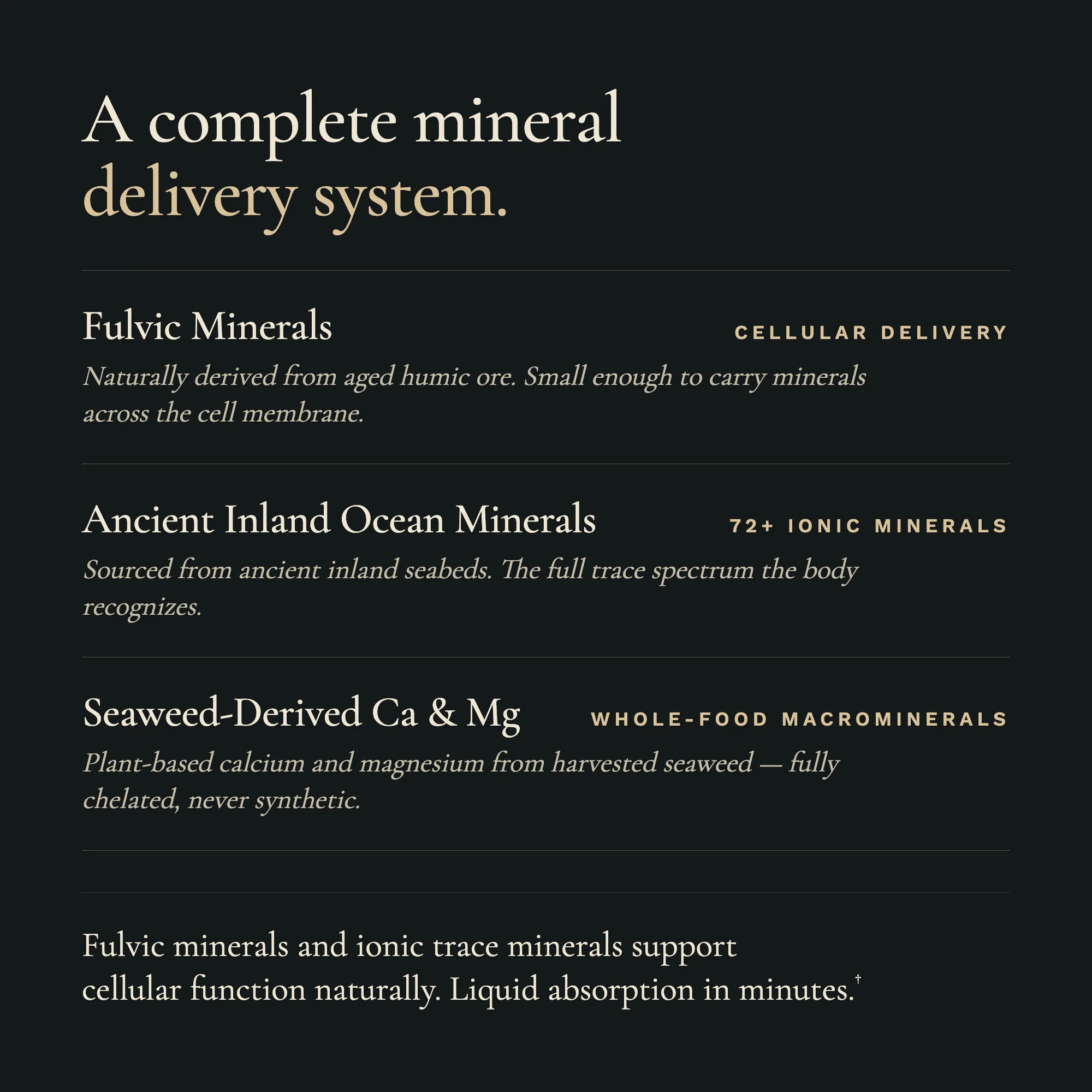 Fulvic Acid & Trace Ocean Minerals - Image 5